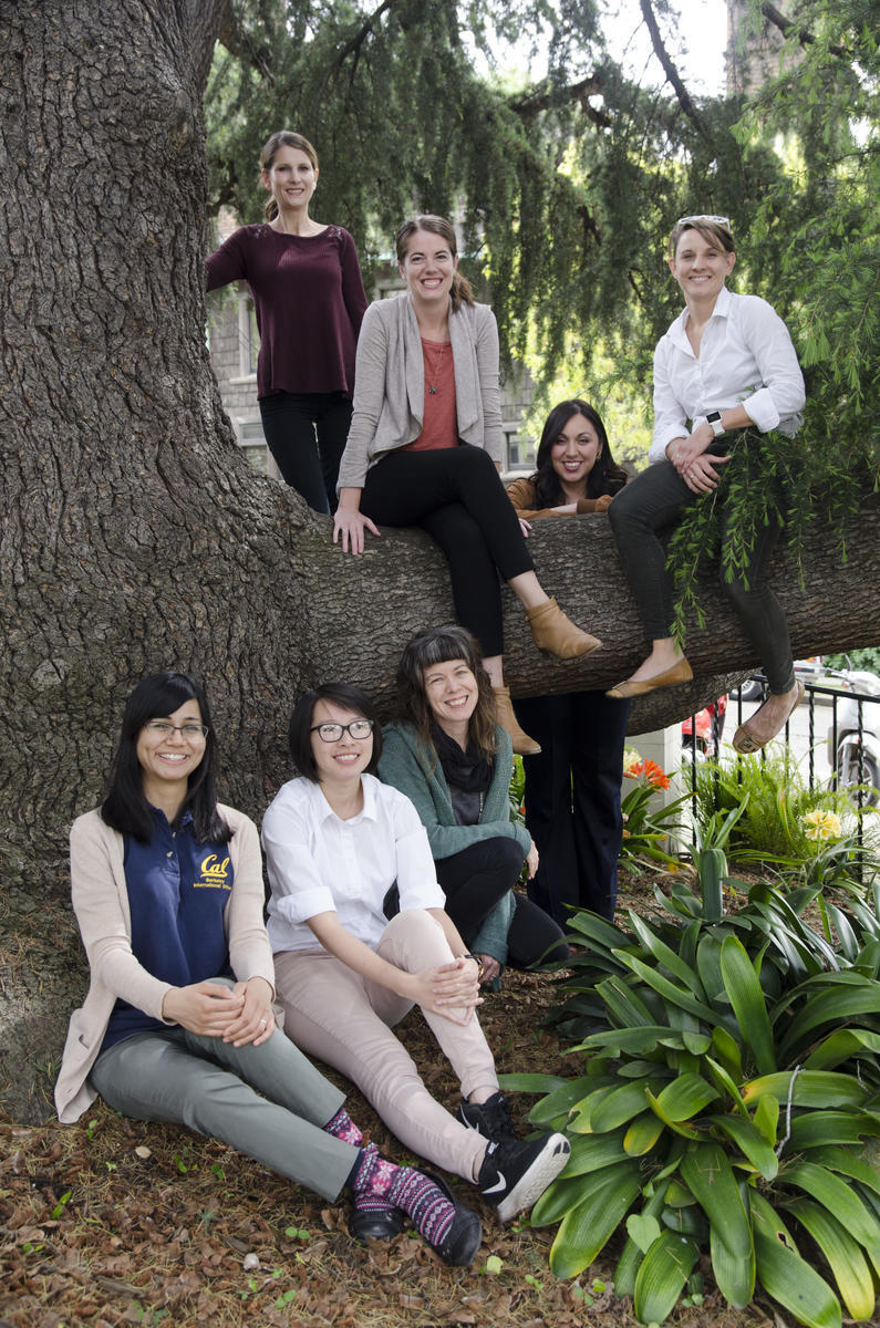 A group of women posing in front of, and sitting on a willow tree.